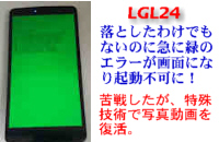 LGL24